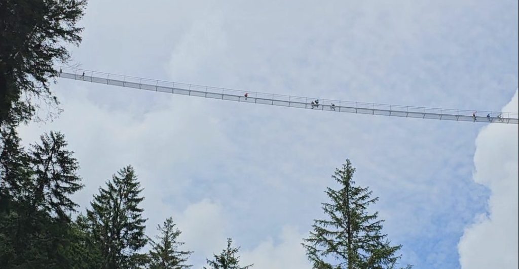 Hangbrug in Holzgau