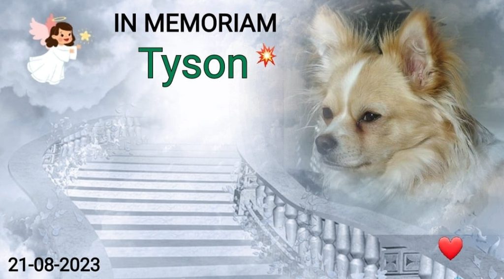 Tyson