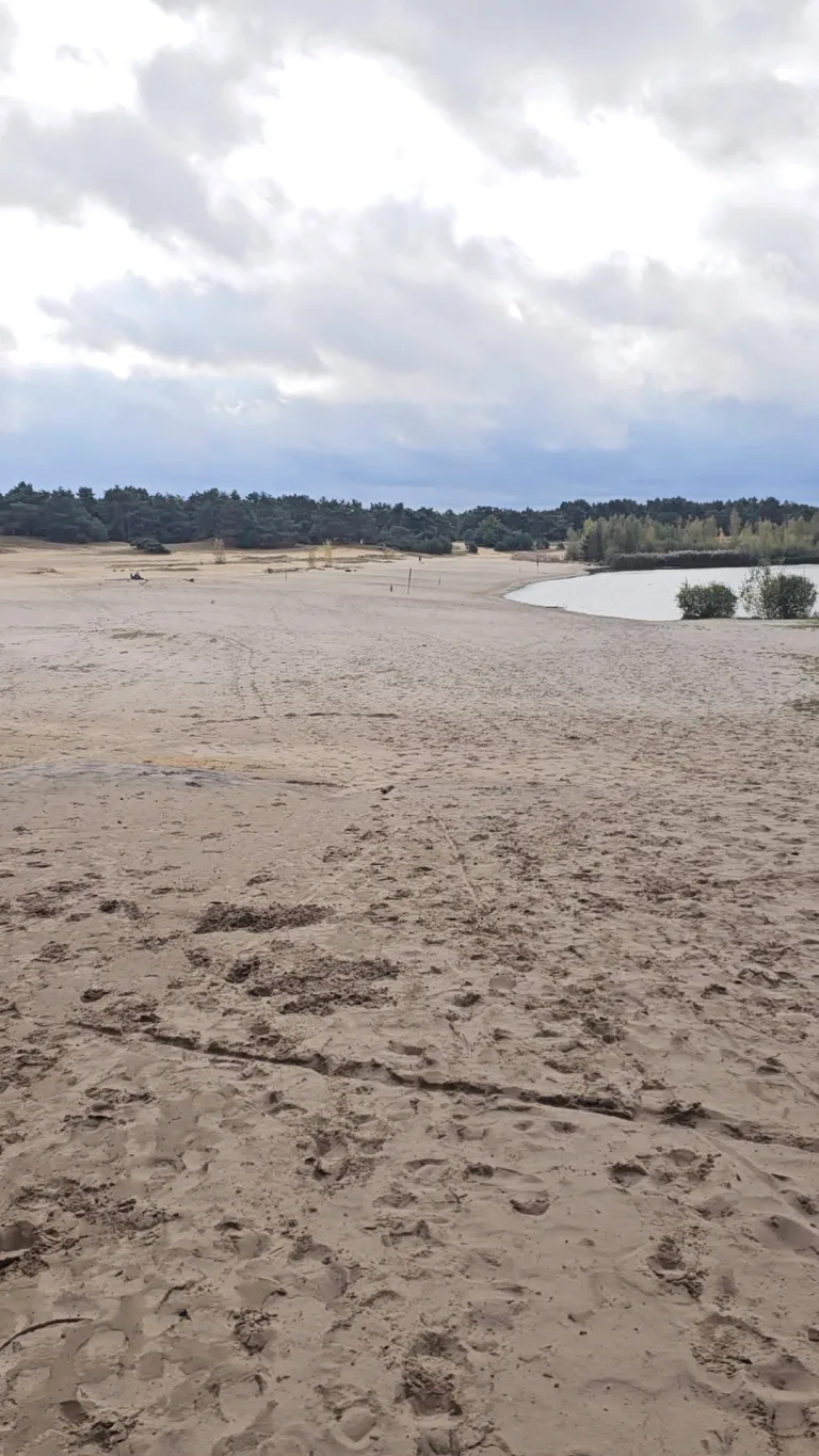 Zand en duinvlakte