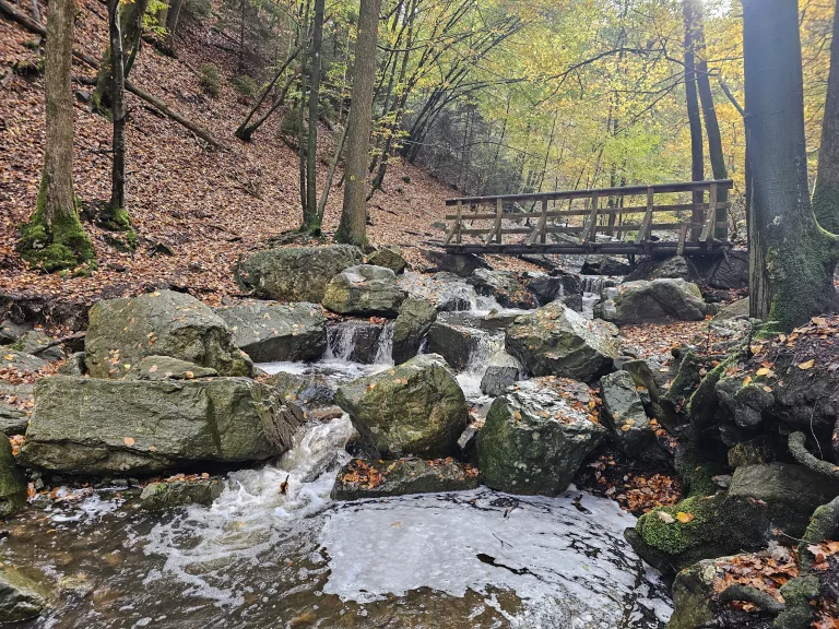 Bruggetje over de ninglinspo in de ardennen