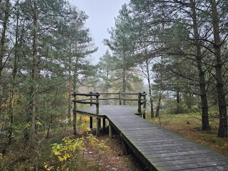 Rondje Reindersmeer houten uitkijkpunt