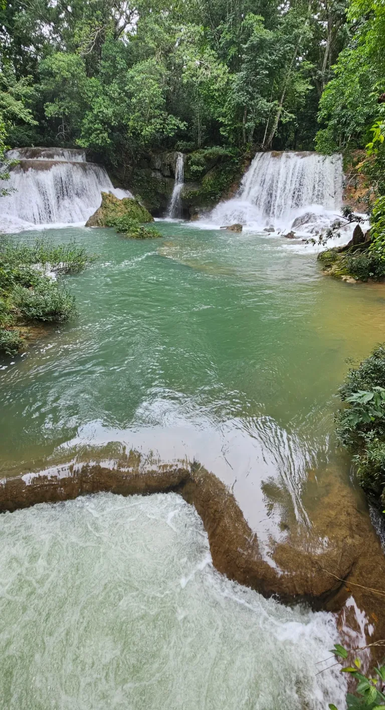 Roberto Barrios Palenque