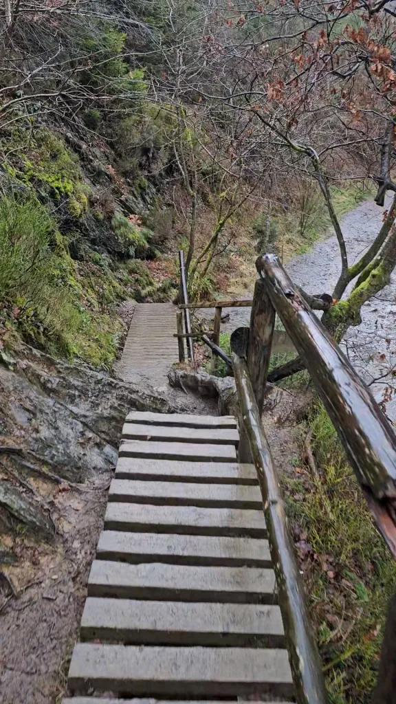 Houte bruggetjes op de wandelroute