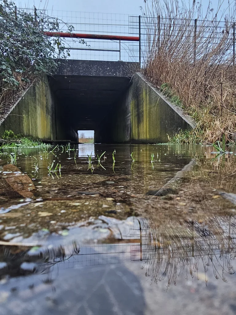 Tunneltje wandelroute