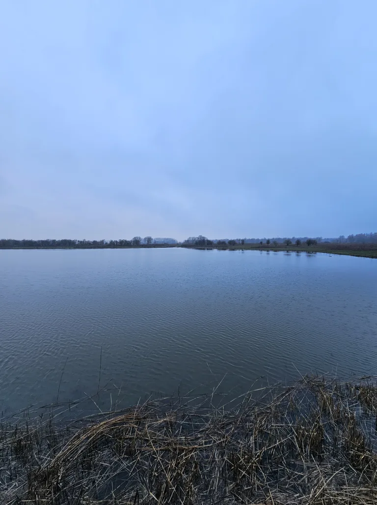 Vennen wandelroute