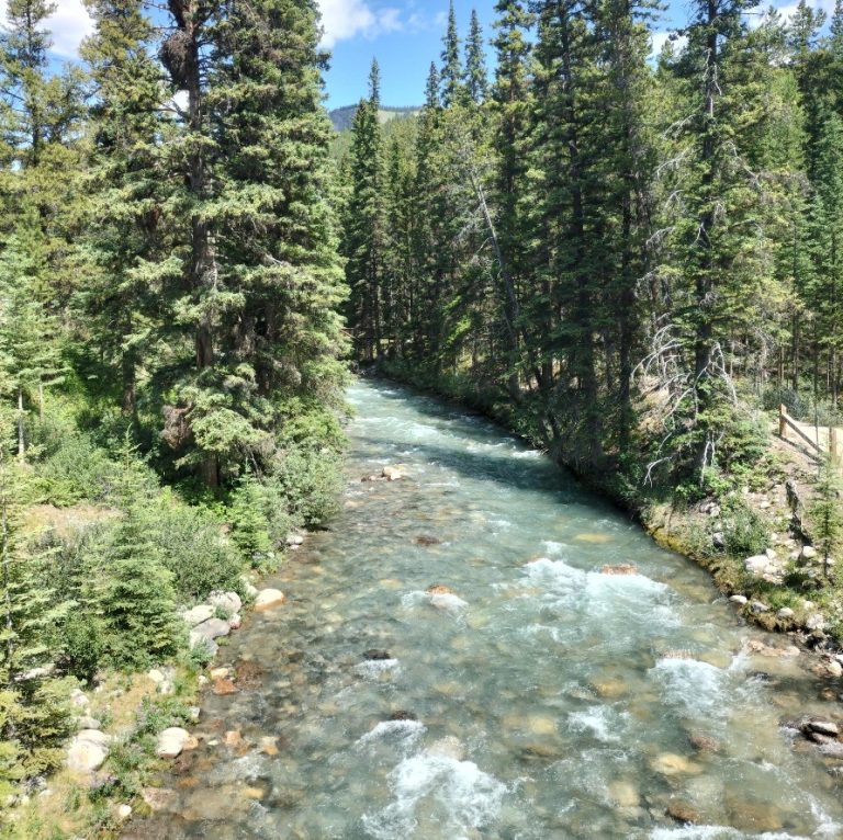 Fietsreis van Calgary naar Vancouver Banff National park