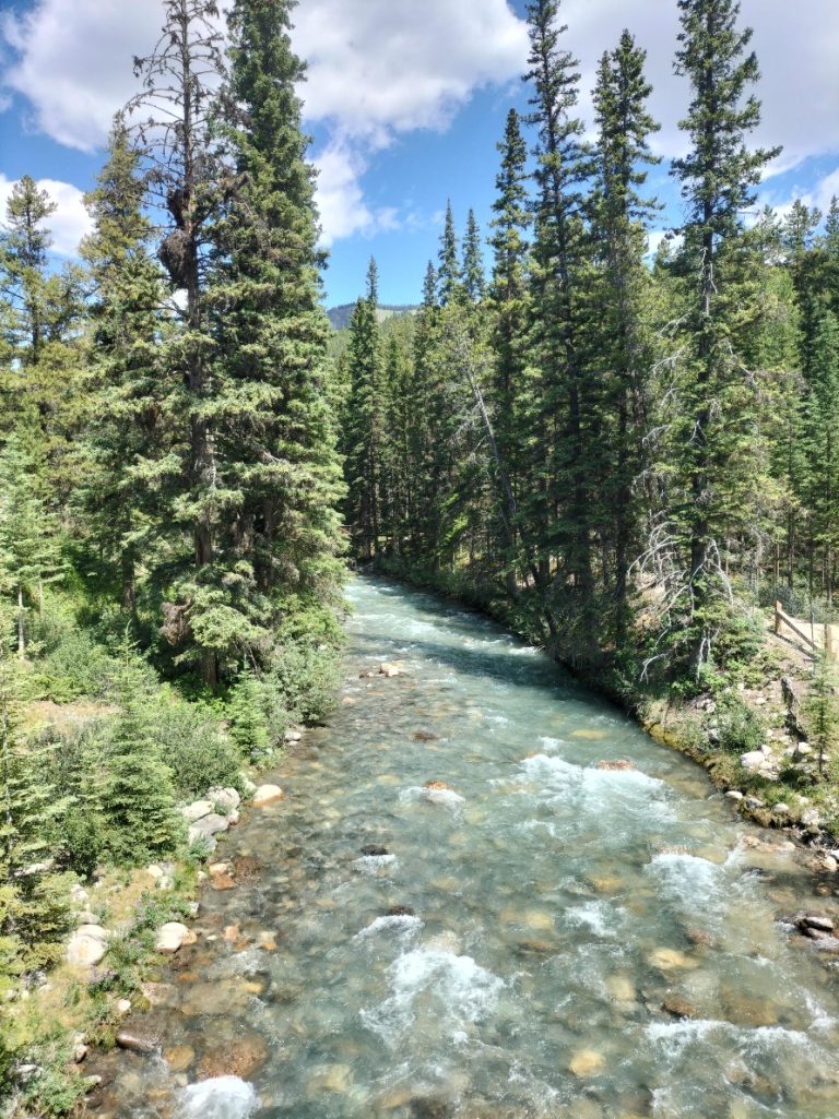 Banff National park