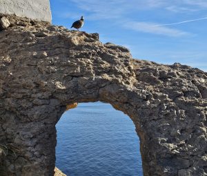 Vuurtoren wandeling Albir